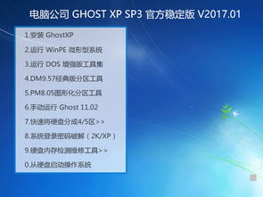 深度解析 電腦公司 Ghost XP SP3 官方穩(wěn)定版 v2017.01 在數(shù)據(jù)處理中的應(yīng)用與價(jià)值